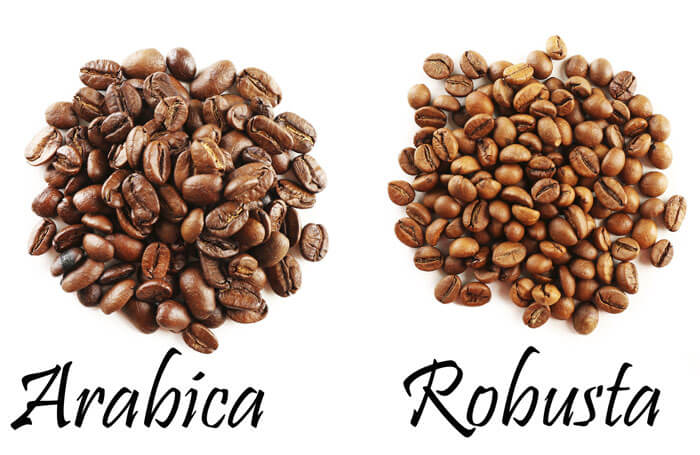 Arabica vs Robusta