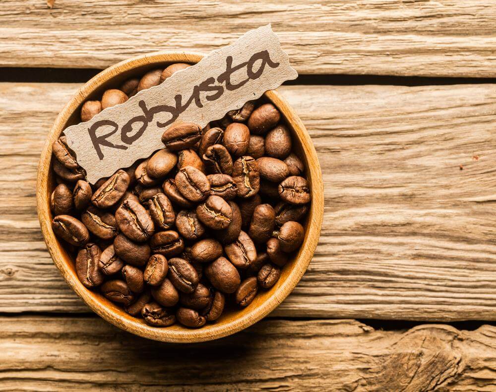 cà phê robusta là gì