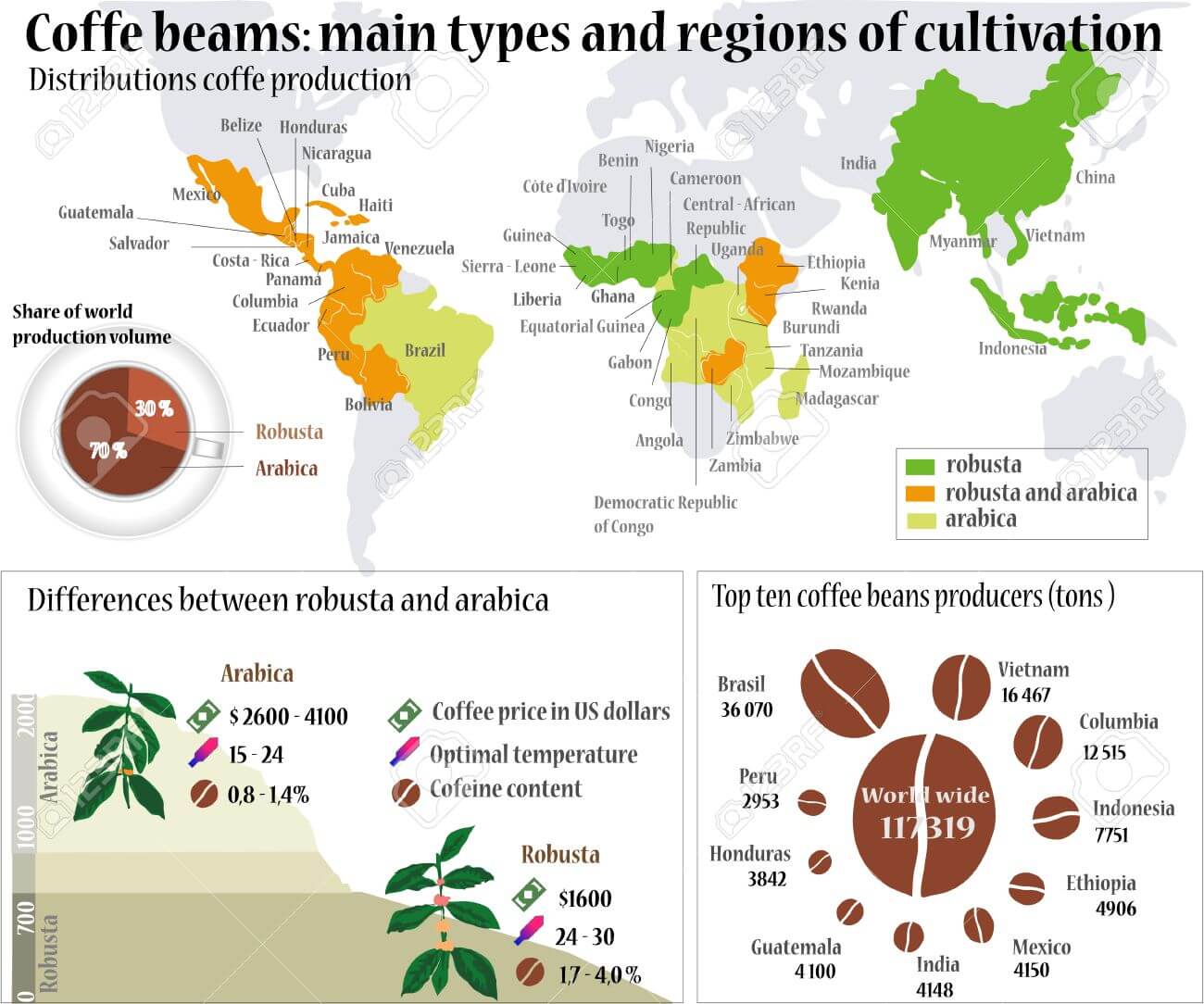 Coffee distribution