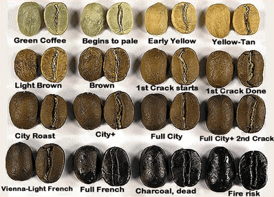 Bảng màu hạt cà phê sau khi rang